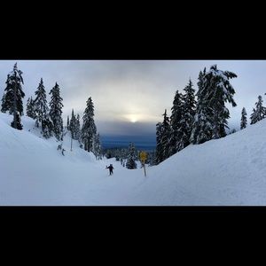 Meet your Posher, Brady